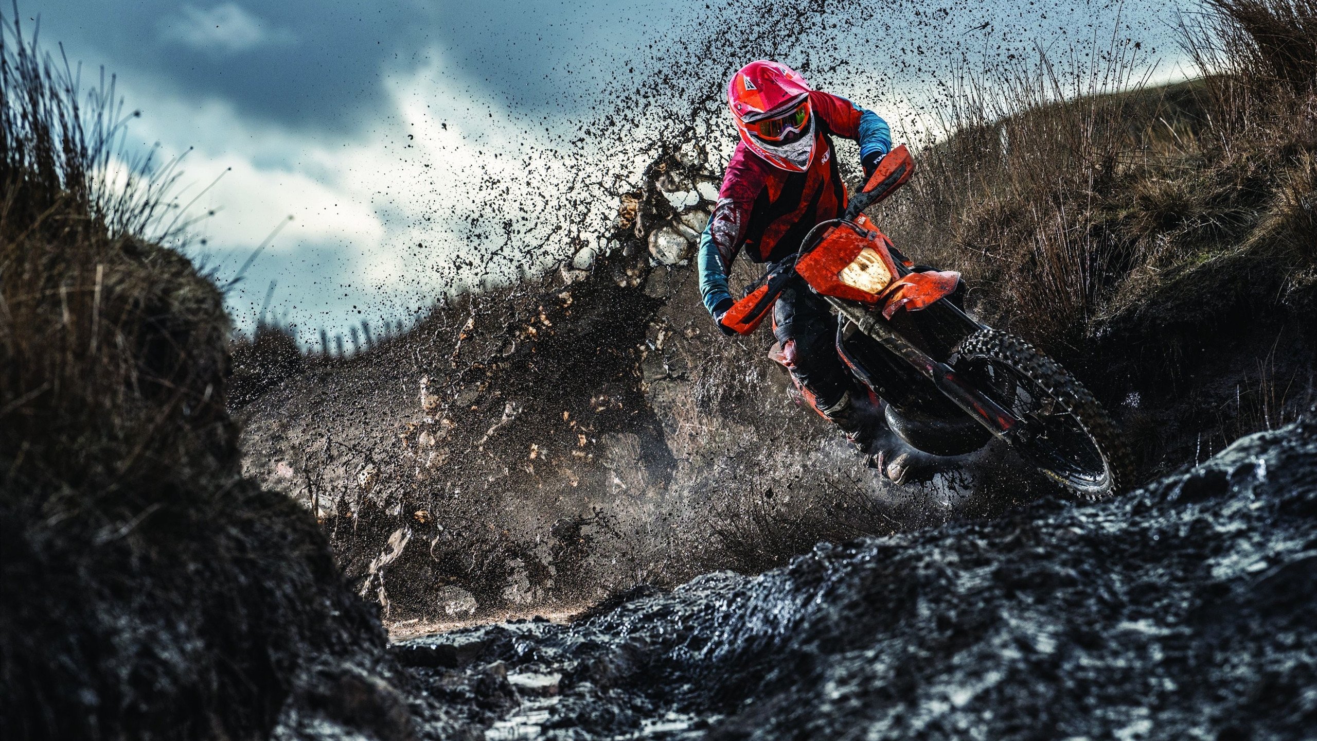 蒙特卡洛的悬崖与都灵的寒夜，兹维列夫在刀锋上跳动的冠军之心